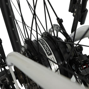 Falcon Liberty Low Step Electric Hybrid